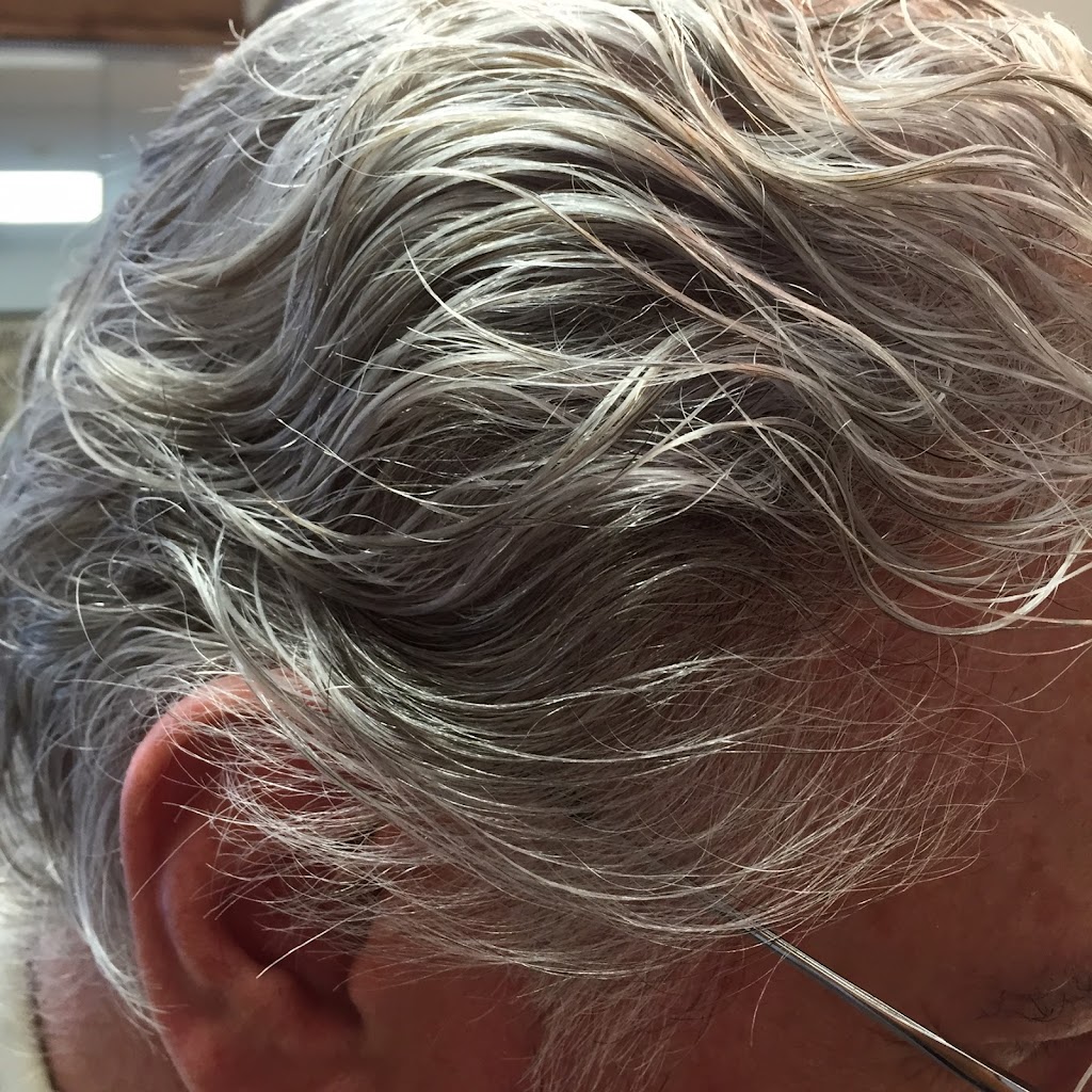 Hollywood Hair 92868