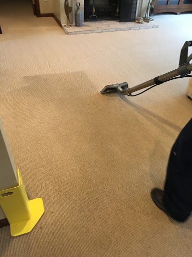 Sparkling Clean Carpet Care