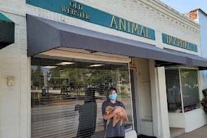 Old Webster Animal Hospital image