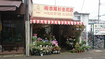 赤尾杉生花店