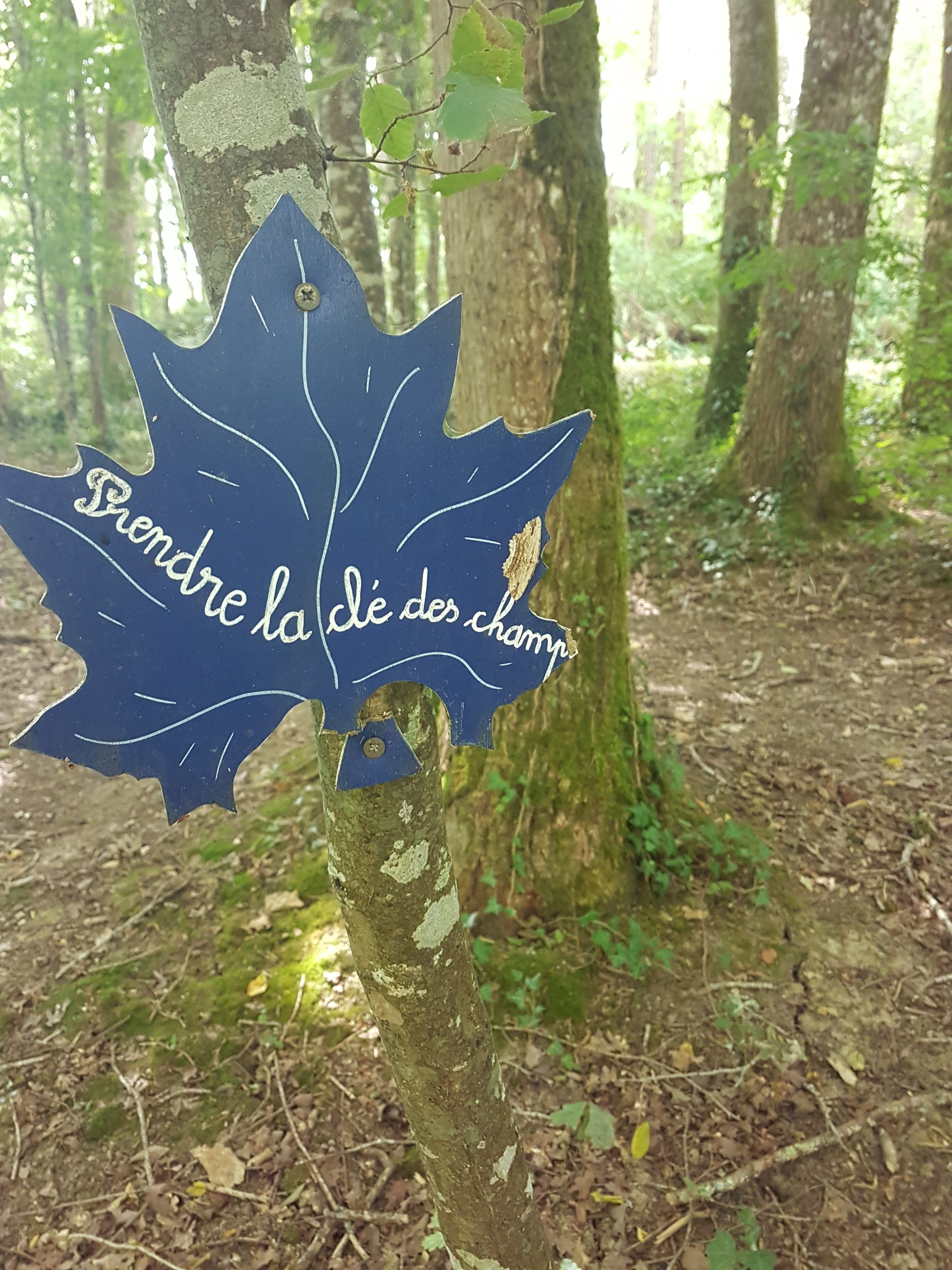 Photo n° 2 de l'avis de christelle.o fait le 22/07/2020 à 17:51