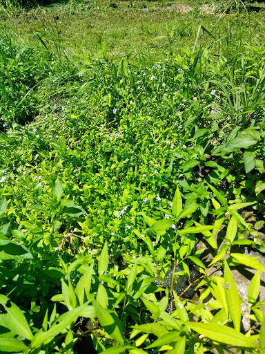 Nature Preserve «Lakeside Nature Center», reviews and photos, 4701 E Gregory Blvd, Kansas City, MO 64132, USA