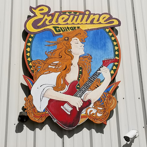 Erlewine Guitars image 8