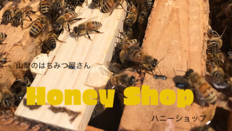 Honey Shop BEE 日本ミツバチはちみつ屋さん