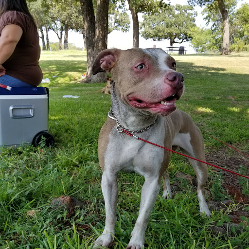 Park «Randol Mill Park», reviews and photos, 1901 W Randol Mill Rd, Arlington, TX 76012, USA