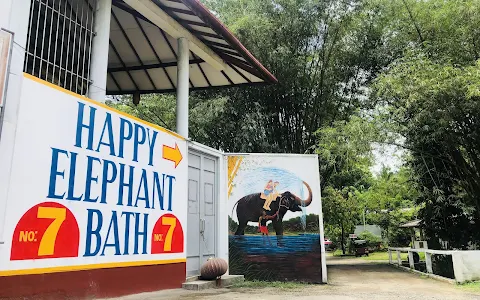 Happy Elephant image
