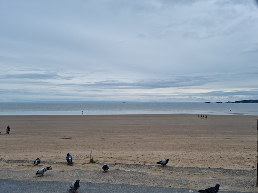 Swansea Beach Walking Trail.