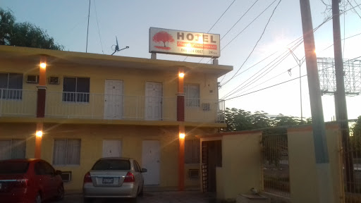Hotel Posada Framboyanes