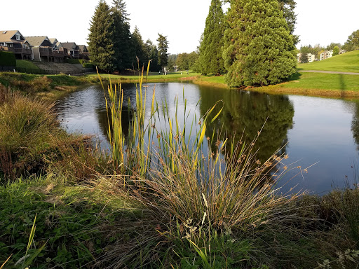 Golf Course «North Shore Public Golf Course», reviews and photos, 4101 Northshore Blvd NE, Tacoma, WA 98422, USA