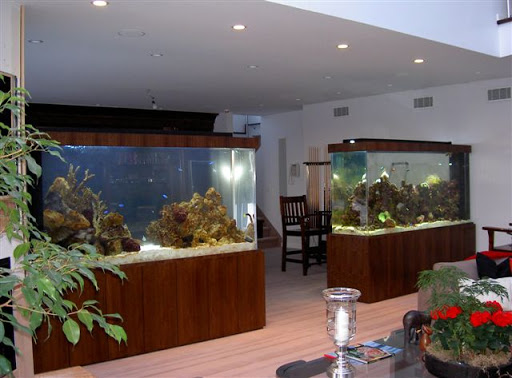 Aquarius Aquariums