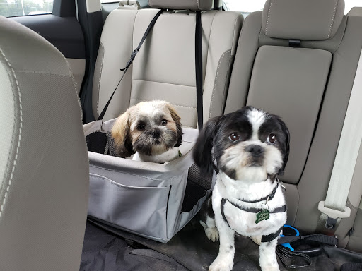 Pet Supply Store «PetSmart», reviews and photos, 7340 W 191st St, Tinley Park, IL 60487, USA