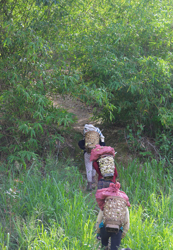 Top 20 cửa hàng loa nansin Huyện Đăk Pơ Gia Lai 2022