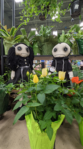 Grocery Store «Albertsons», reviews and photos, 161 W Prairie Ave, Hayden, ID 83835, USA