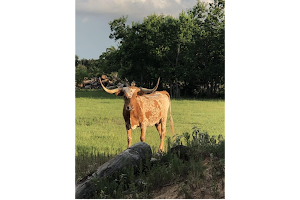 Turquoise Acres Ranch image