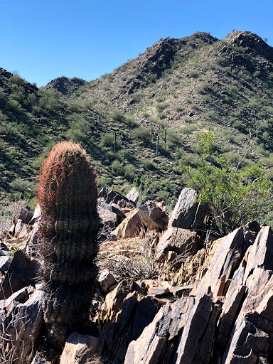 Nature Preserve «Gateway Trailhead - McDowell Sonoran Preserve», reviews and photos, 18333 N Thompson Peak Pkwy, Scottsdale, AZ 85255, USA