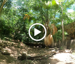 Buceo en cenotes de Yucatán photo