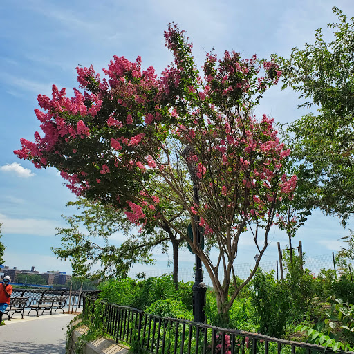 Park «Carl Schurz Park», reviews and photos, East 86th Street & East End Ave, New York, NY 10028, USA