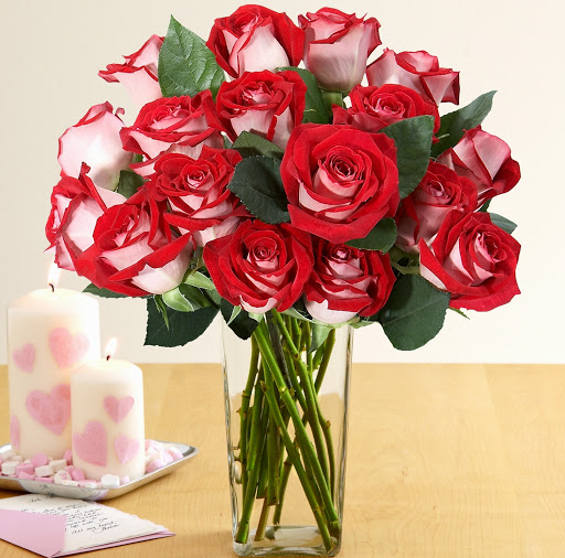 Book Store «Barnes & Noble», reviews and photos, 300 Monticello Ave, Norfolk, VA 23510, USA