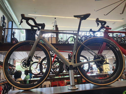 Bicycle Store «Bicycle Haus», reviews and photos, 7113 E 1st Ave, Scottsdale, AZ 85251, USA