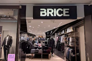 Brice image