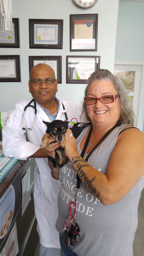 Southfork Animal Hospital image