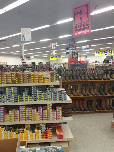 Gun Shop «Gunnies», reviews and photos, 396 State St, Orem, UT 84058, USA