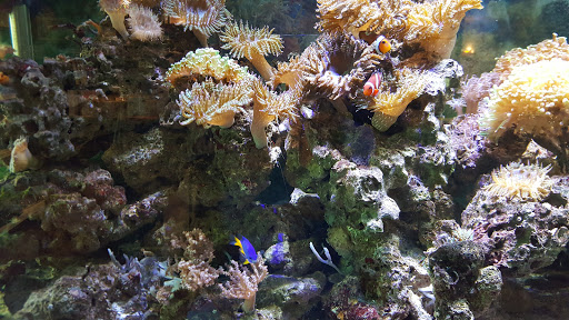 487 NJ-94, Columbia, NJ 07832, USA