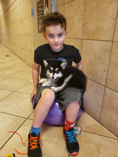 Pet Supply Store «Lil Rascals», reviews and photos, 10035 Gulf Center Dr #105, Fort Myers, FL 33913, USA