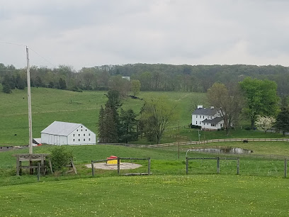 Johnsville Meadows Farm