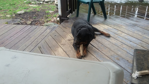 Country Club «Highland Golf Country Club», reviews and photos, 1050 52nd Street, Indianapolis, IN 46228, USA