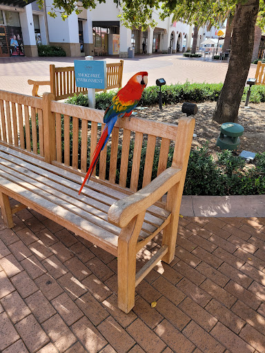 Lowes Home Improvement image
