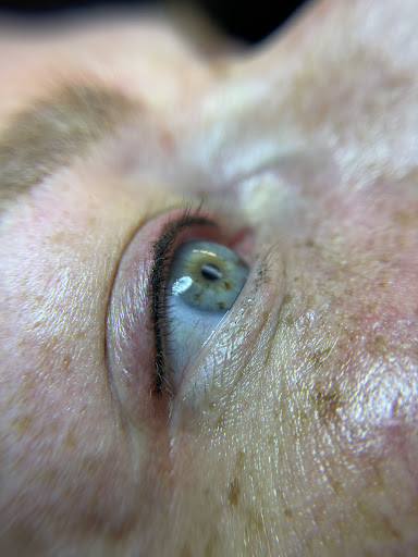 Explore shiva tattoo ideas, creative tattoo ideas in Peoria Heights, available at BeautiFULL Brows By Jen Microblading - Permanent Makeup Wild Honey Beauty Studio