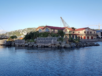 Wellington Rowing Club
