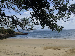 Foto av Trunk beach med liten vik