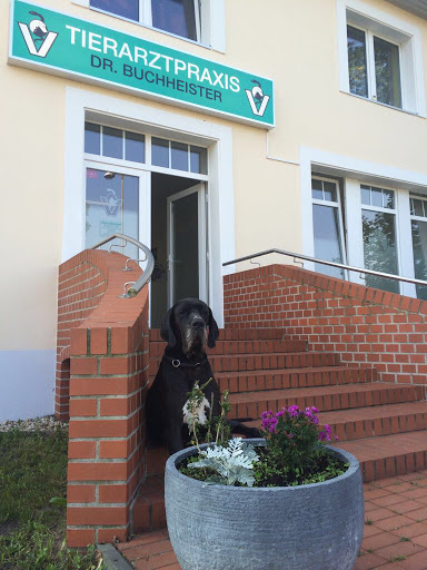 Tierarztpraxis - Buchheister unter Schulzendorf, Brandenburg