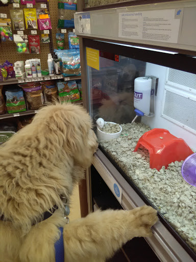 Pet Supply Store «Petco Animal Supplies», reviews and photos, 1150 Concord Ave #160, Concord, CA 94520, USA