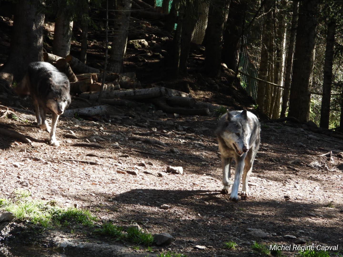 Photo n° 14 de l'avis de michel.a fait le 03/10/2019 à 13:25