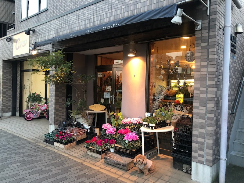 ショパン緑が丘店