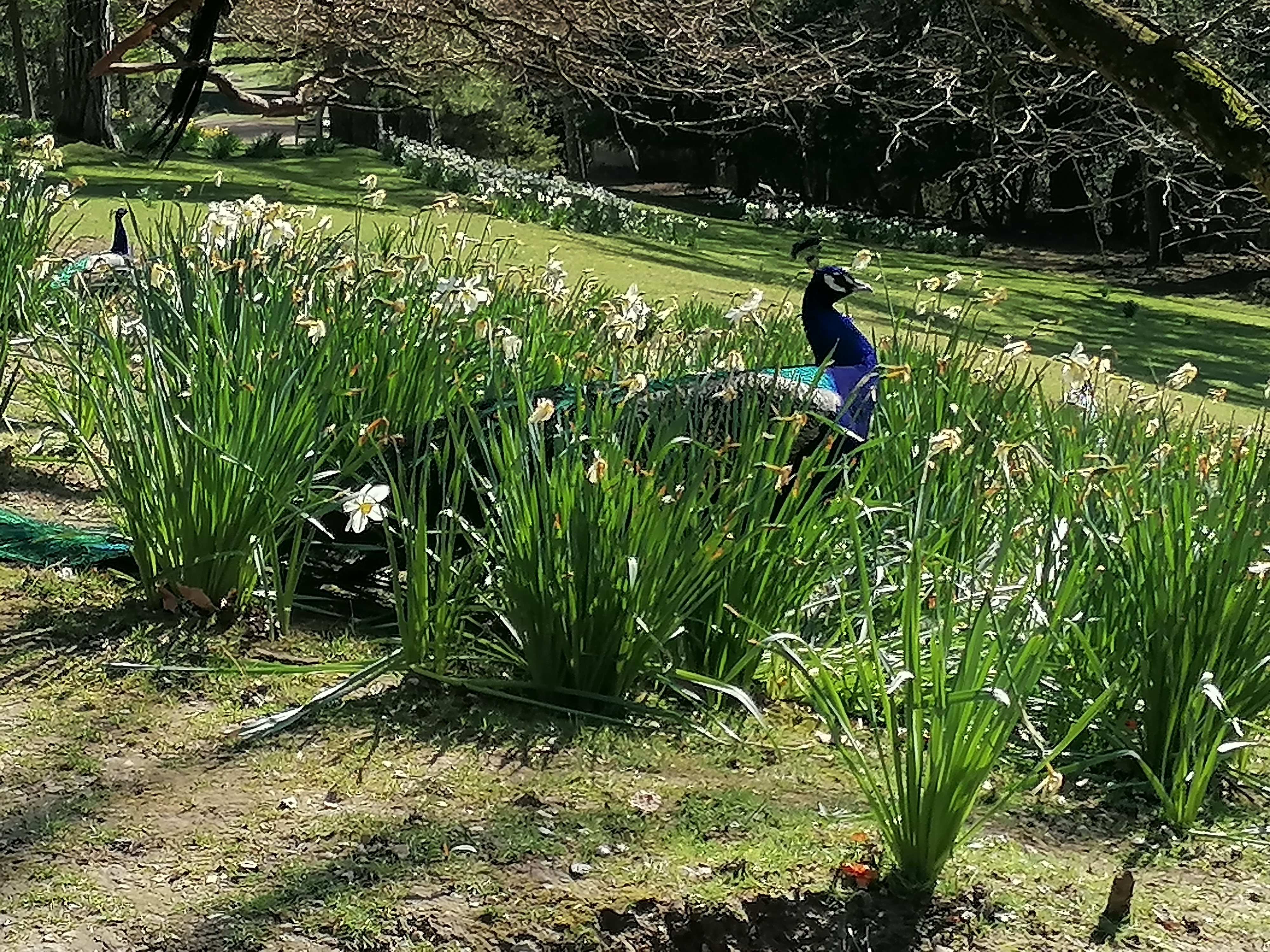 Photo n° 4 de l'avis de Edwige.o fait le 16/04/2023 à 08:24