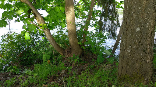 RV Park «Shamrock Village RV Park», reviews and photos, 4531 Franklin Blvd, Eugene, OR 97403, USA