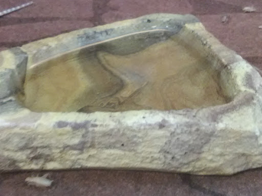 Pet Supply Store «PetSmart», reviews and photos, 10697 E US Hwy 36, Avon, IN 46123, USA