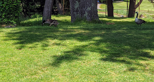 Golf Course «Sagamore Spring Golf Club», reviews and photos, 1287 Main St, Lynnfield, MA 01940, USA