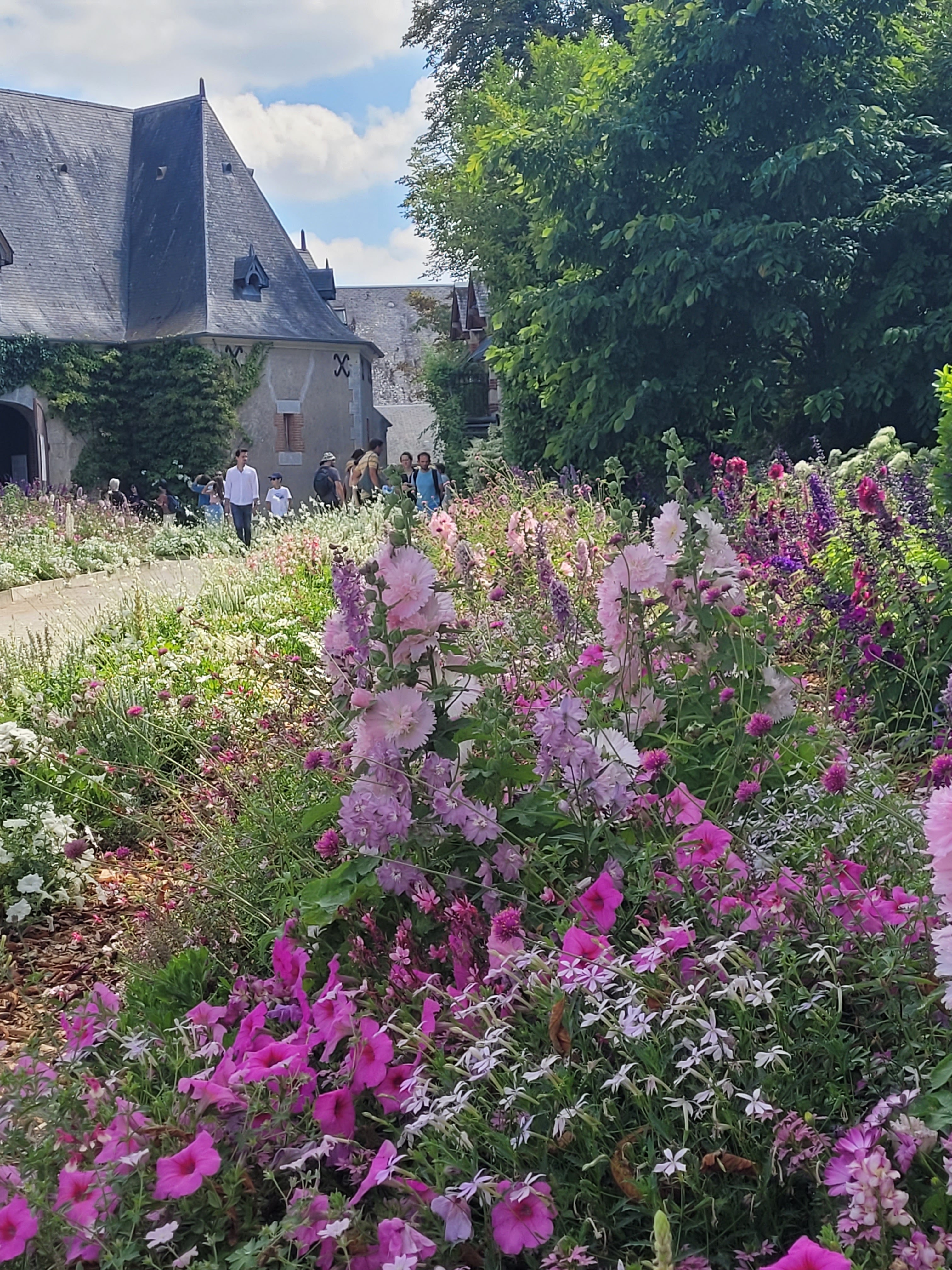 Photo n° 11 de l'avis de Alexa.. fait le 23/07/2022 à 17:33