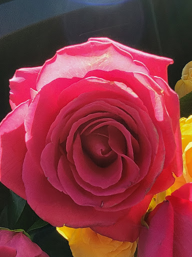 Florist «The Flower Shoppe Greenfingers Inc.», reviews and photos, 8654 Central Ave NE, Blaine, MN 55434, USA