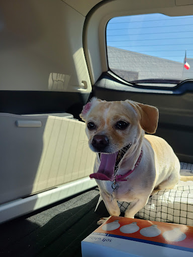 Discount Store «Walmart», reviews and photos, 8538 Interstate 35 Access Rd, San Antonio, TX 78211, USA