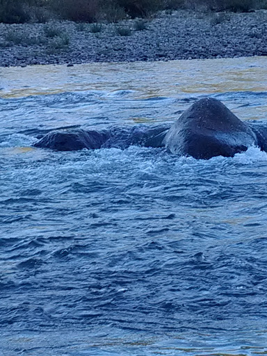 Park «Powell Butte Nature Park», reviews and photos, 16160 SE Powell Blvd, Portland, OR 97236, USA