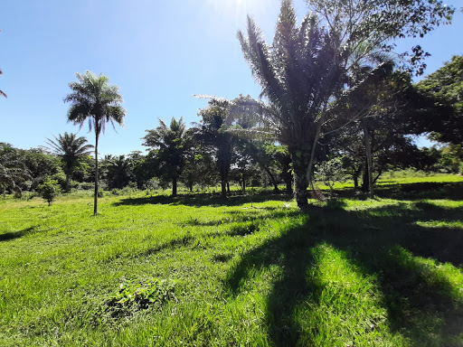 Cochabamba