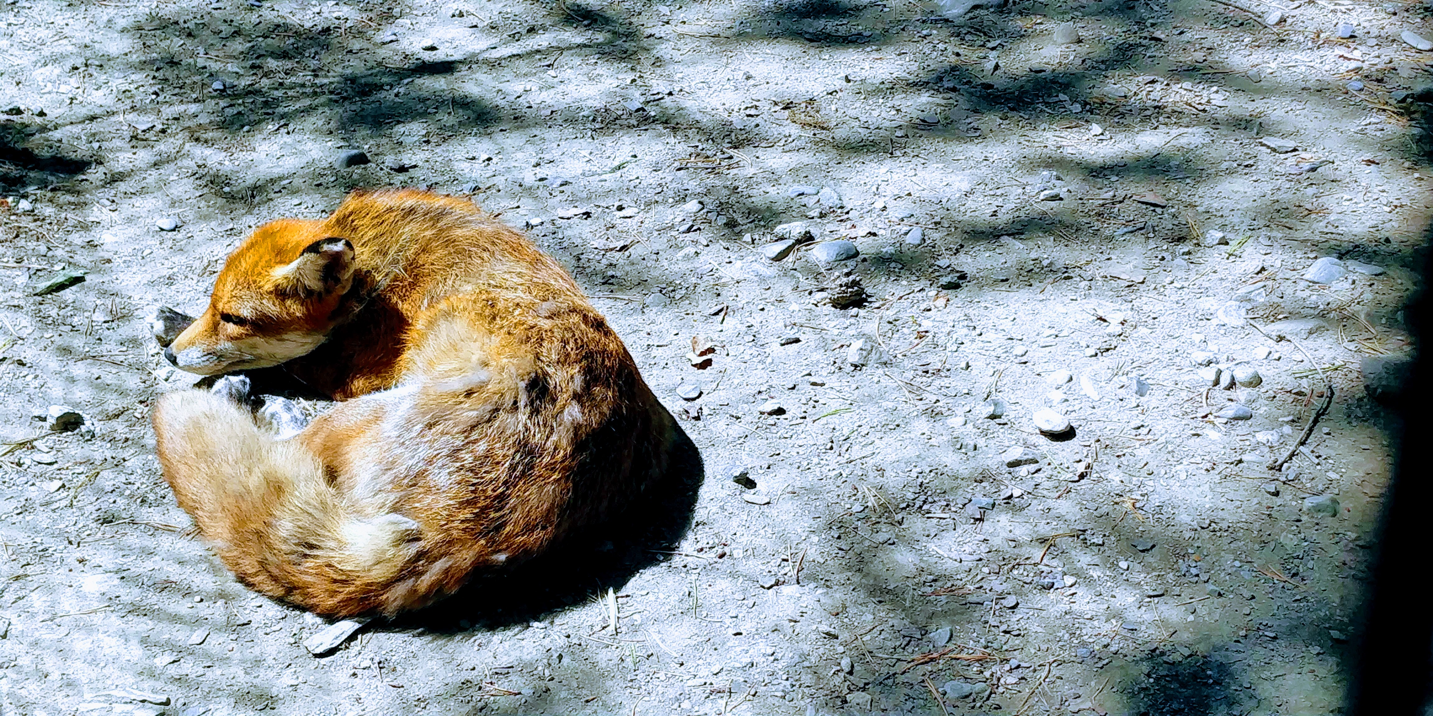 Photo n° 19 de l'avis de Sylvain.e fait le 02/08/2018 à 06:25