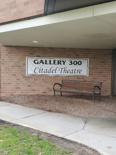 Performing Arts Theater «Citadel Theatre», reviews and photos, 300 S Waukegan Rd, Lake Forest, IL 60045, USA