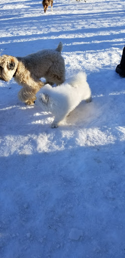 Dog Park «Andover dog park», reviews and photos, 288 High Plain Rd, Andover, MA 01810, USA